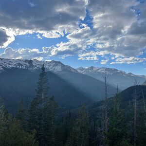 Gallery Photo 21
