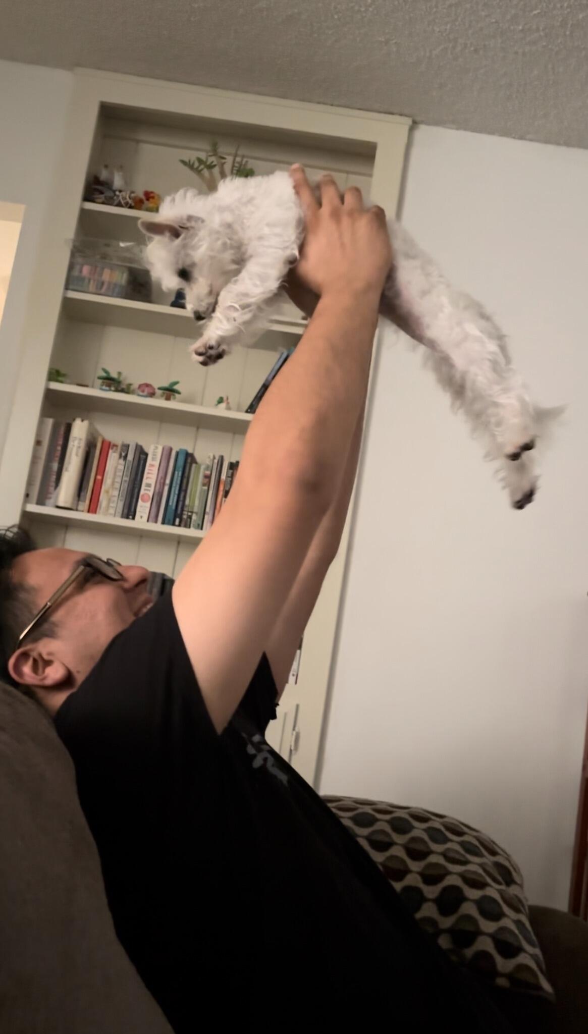 Just a few days before her first birthday we got our new baby, Lamby!