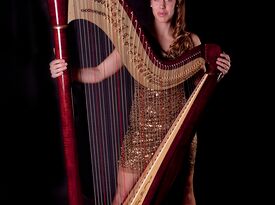 Harp & Soul - Harpist - Pottstown, PA - Hero Gallery 2