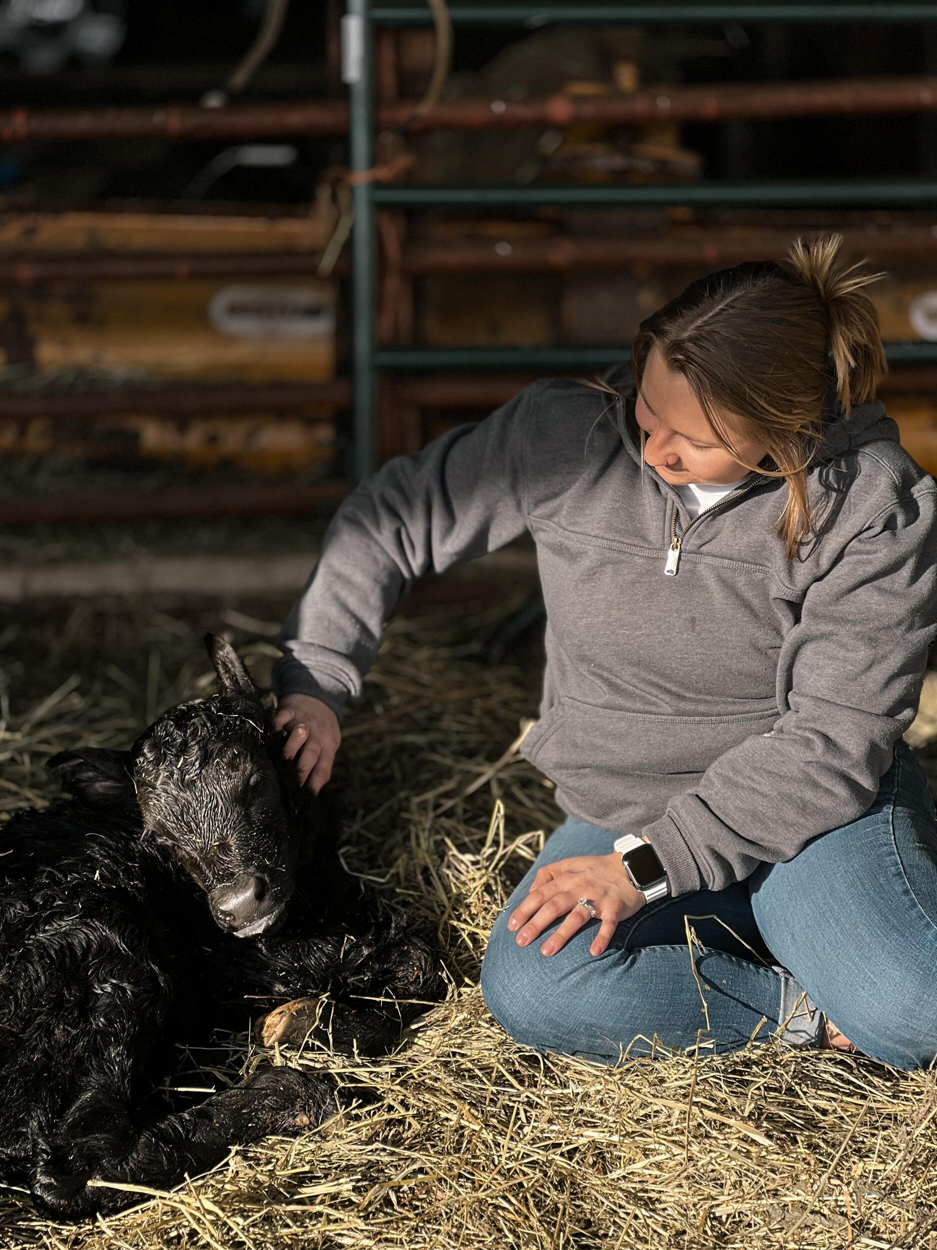 Shortly thereafter came their third set of spring calves together - meet Birdy, who was quite the early bird indeed and gave them quite a scare. Born in the coldest peak of the season, she braved it through and proved just how strong their girls are.