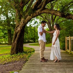 Gallery Photo 8