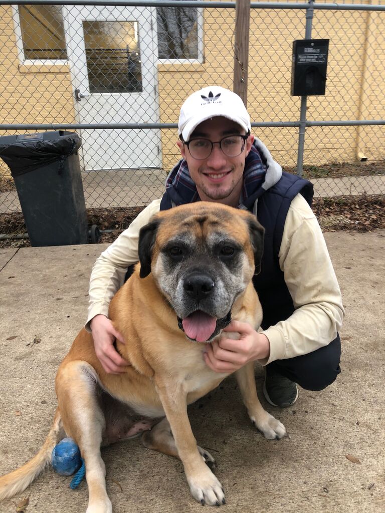 After a few months of living alone in Fort Wayne, Evan decided it was time to get a dog. We adopted Hera who was almost 10 years old at the time, and she was the perfect fit for Evan. She's a loving, cuddly, gentle giant that is asleep majority of the day. Evan and Hera have been best friends ever since!