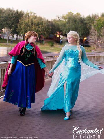 Enchanted Entertainment Florida - Costumed Character - Altamonte Springs, FL - Hero Main