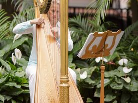 Golden Harps of Nashville - Harpist - Nashville, TN - Hero Gallery 1