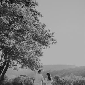 Gallery Photo 164