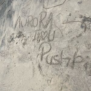 Gallery Photo 9