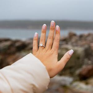Gallery Photo 4
