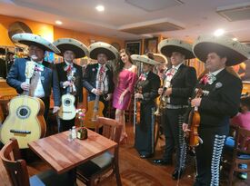 Mariachi Hidalgo NYC - Mariachi Band - New York City, NY - Hero Gallery 2