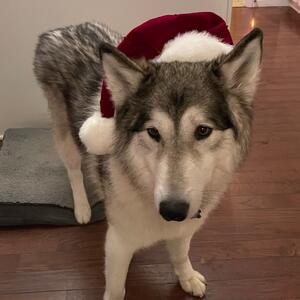 Gallery Photo 22