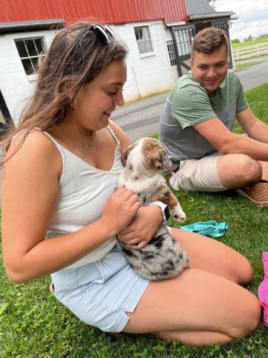 First time meeting Millie! - Picking up Millie in Pennsylvania!!! :)