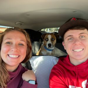 Gallery Photo 22