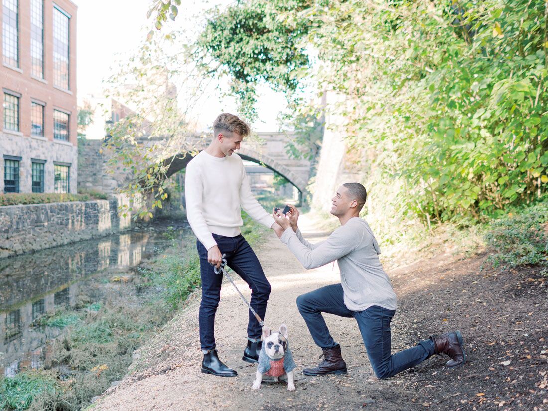 Couple getting engaged with dog