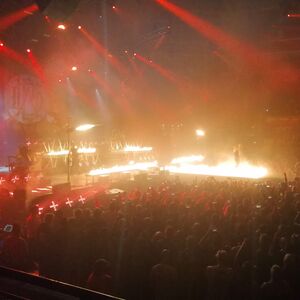 Gallery Photo 48