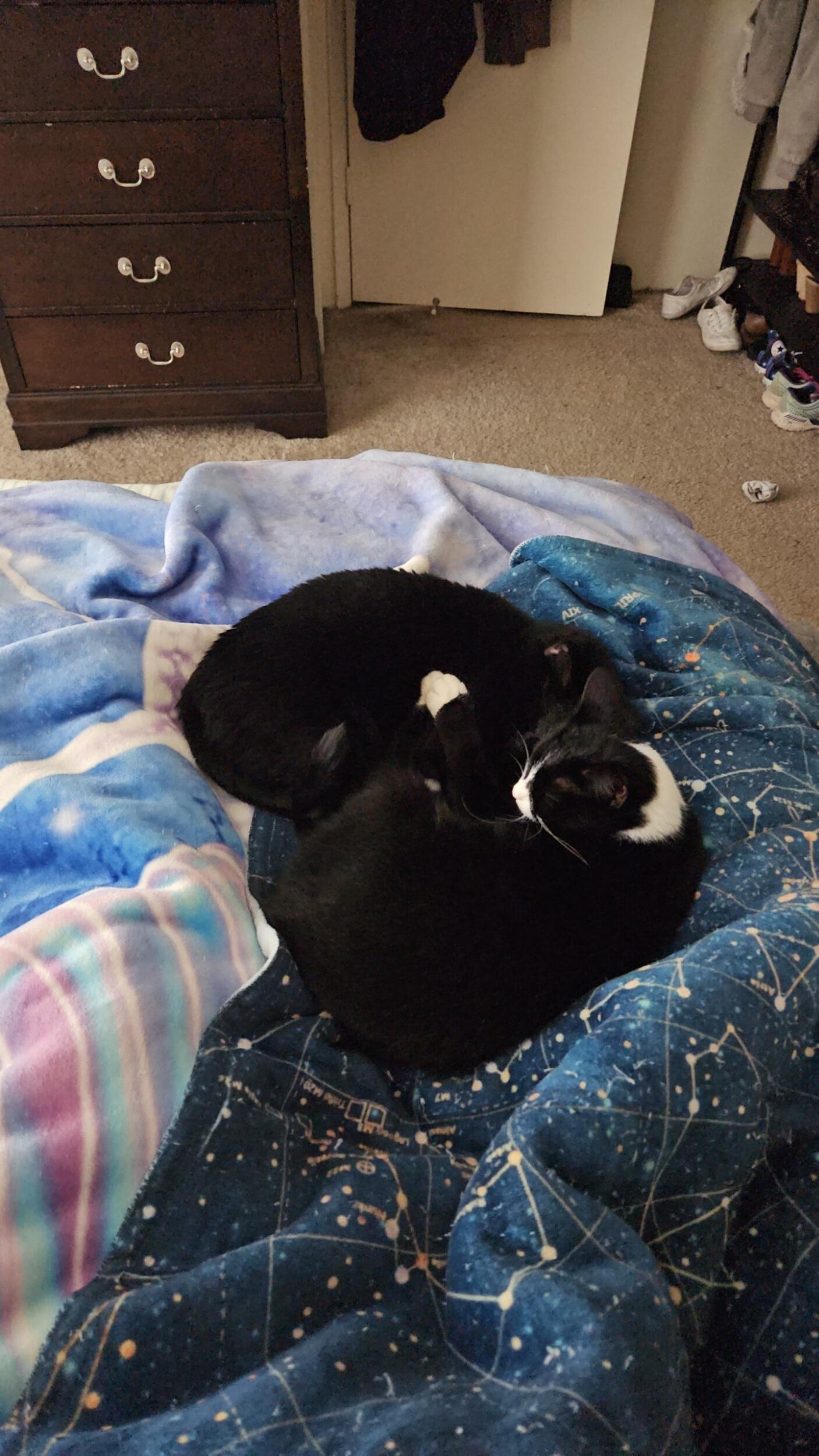 June and Phoebe all grown up!