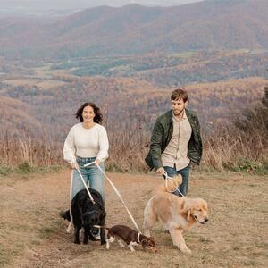 Gallery Photo 21