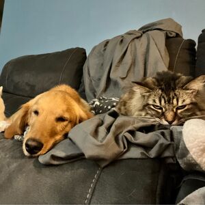 Gallery Photo 4