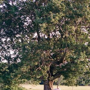 Gallery Photo 8