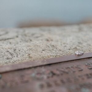 Gallery Photo 5