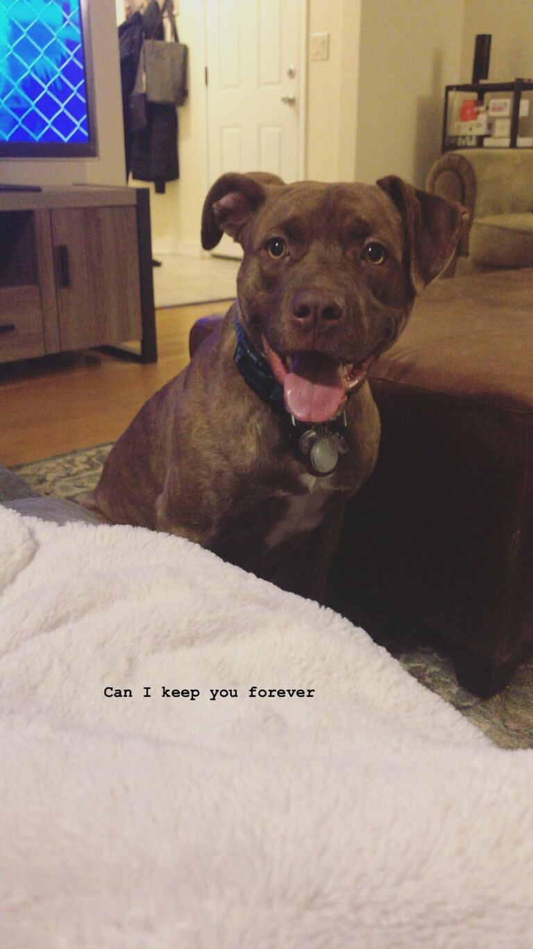 via Kate's Instagram Story