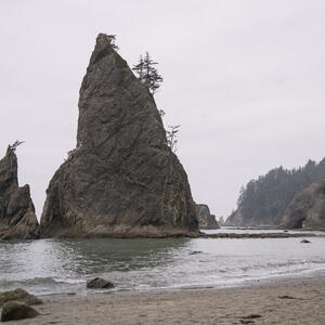 Gallery Photo 18