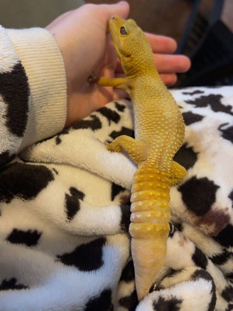 We got our first baby!!
