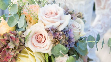 12 pink roses beautifully wrapped in Brooklyn, NY | LV Flower Events