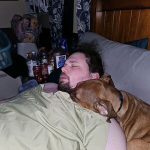 Gallery Photo 41