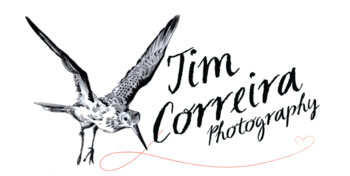 Vendor Logo