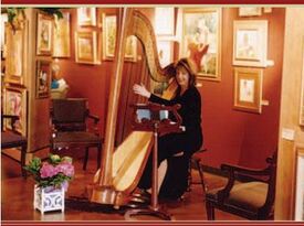 Sandra Salstrom, Harpist - Harpist - Houston, TX - Hero Gallery 2