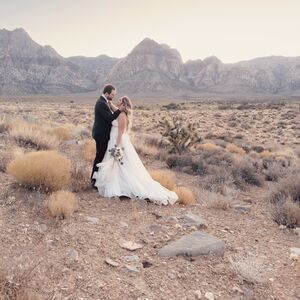 Gallery Photo 7