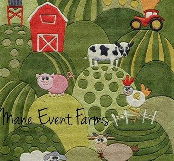 Mane Event Farms - Petting Zoo - Indianapolis, IN - Hero Main