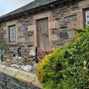 Gallery Photo 251