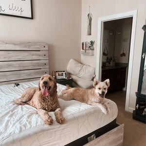Gallery Photo 17