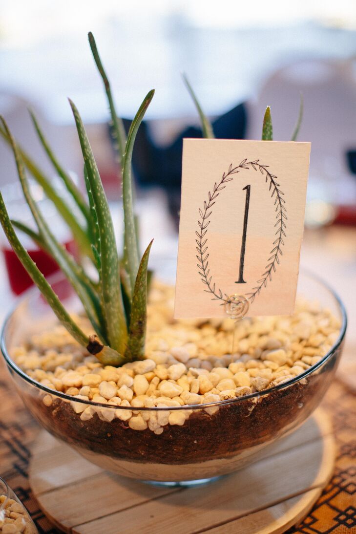 Diy Succulent Centerpieces