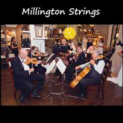 Millington Strings, profile image