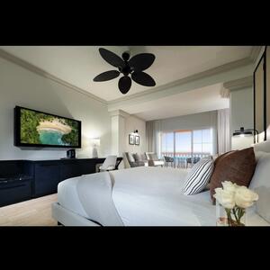 Gallery Photo 56
