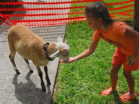 Critter Caravan  - Petting Zoo - Jacksonville, FL - Hero Gallery 3