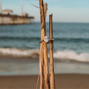 Gallery Photo 21