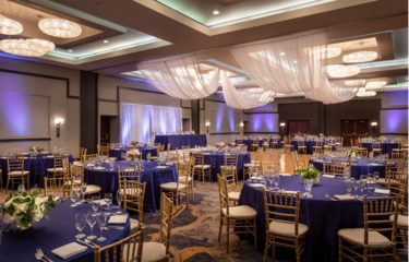 Hyatt Regency Lisle Reception Venues The Knot