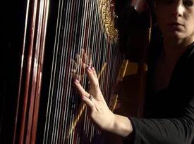 Jill DeGraaf / Harpist / Pianist for your event - Harpist - Grand Rapids, MI - Hero Gallery 2