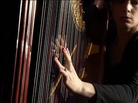 Jill DeGraaf / Harpist / Pianist for your event - Harpist - Grand Rapids, MI - Hero Gallery 2