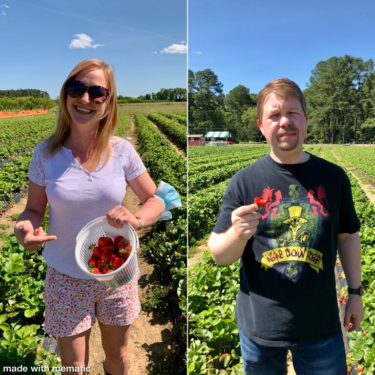 Strawberry Picking