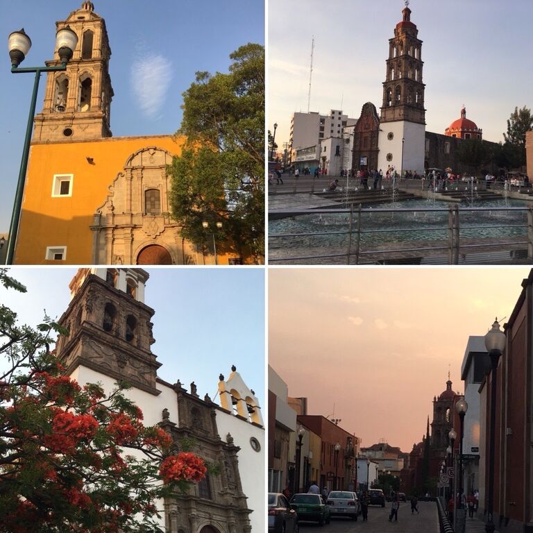 We met at an ECMS training back in 2016 in Irapuato, Mx