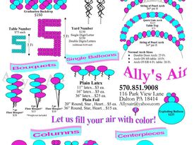 Ally's Air - Balloon Twister - Scranton, PA - Hero Gallery 2