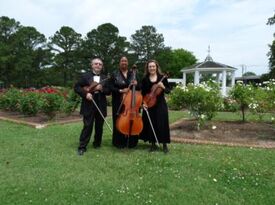 Arte Musicale String Ensemble - String Quartet - Newport News, VA - Hero Gallery 2