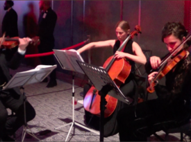 XinOu Wei Strings-bringing you class and romance - String Quartet - New York City, NY - Hero Gallery 3