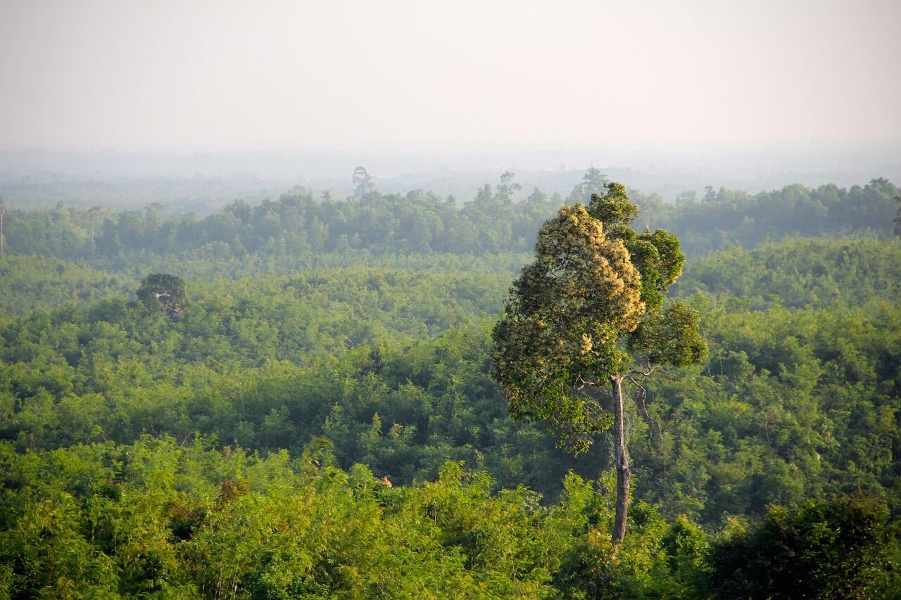 I reached out to Brad and asked when he would be in Thailand. I didn’t hear from him for 2 weeks and figured I never would. 

I (Brad) meanwhile, was on an Emergency Relief trip with Scott (groomsman) in Myanmar and hadn't had service in days. I finally connected at a little office in the jungle and to my surprise found a text from Adrienne. 

I (AD) then received a message: “Come, I’ll pick you up from the airport.” 