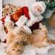 ?? Santa Albert brings authentic holiday magic, joy, and smiles. Book your Santa visit today! ???
