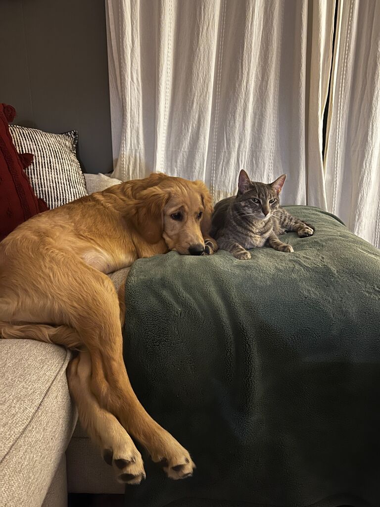 Da best brudders ever.