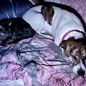 Gallery Photo 56